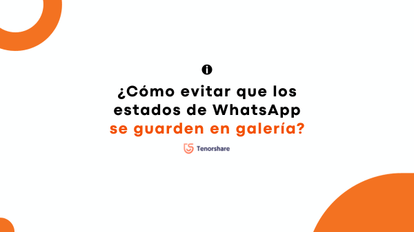 0386 como evitar que las estados de whatsapp se guarden en galeria.png
